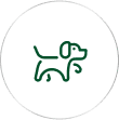 Companion Animals
