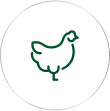 Our Solutions 1