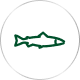 icon fish