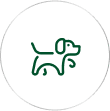 Companion Animals