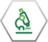 Ecolex brand4
