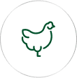 Our Solutions 1