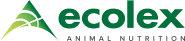 logo color