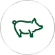 icon pig
